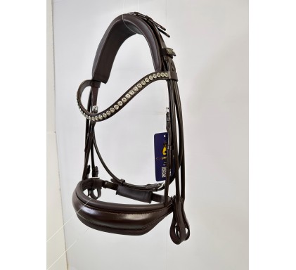 Leather Bridle 